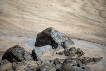 Mussels on the rocks at Great Western Beach in Newquay UK during low tide.