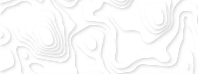 Abstract wavy line 3d paper cut white background. Topographic canyon geometric map relief texture with curved layers and shadow. Abstract realistic papercut decoration textured with wavy layers