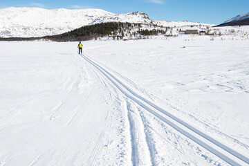 Fototapeta premium perfekt gespurte Loipen auf dem See Övre Sjodalsvatnet in Jotunheimen