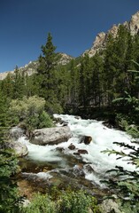 Lake Fork Creek in Beartooth Mountains, Montana