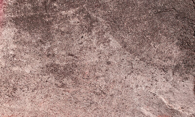 jiwajiwa230319