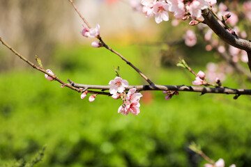 ç‰ˆæƒå½’åƒå›¾ç½‘æ‰€æœ‰ï¼Œç›—å›¾å¿…ç©¶ï¼