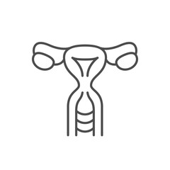 Woman uterus line outline icon