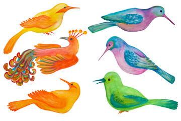 set of different birds drawn in watercolor and isolated on a transparent background.