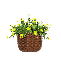 decorative flowers and plants for the interior, isolated on transparent background, 3D illustration, cg render