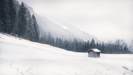 Fototapeta na wymiar Verschneite Alpenhütte am Fuße eines Berges, zu sehen ist ein verschneites Feld, im Hintergrund der Beginn der Alpen und ein verschneiter Nadelwald