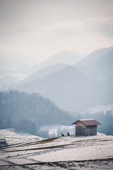 leicht eingeschneite Hütte mit zwei Hunden im Vordergrund, im Hintergrund der Beginn der Alpen im Allgäu