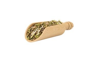 Catnip herb in latin - Nepeta cataria in wooden scoop isolated on white background. Medicinal herb.