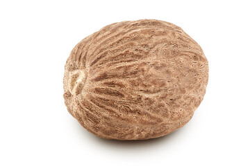 nutmeg isolated on white background with full depth of field