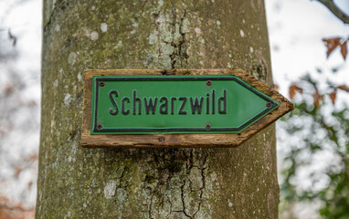 Close-up green german Schwarzwild wild boar Sign on a tree trunk at Englischer Garten Eulbach, Germany
