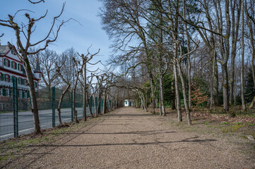 Obraz premium Beautiful avenue with lots of trees at Englischer Garten Eulbach Entrance during Spring, Germany