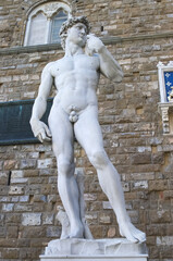 Obraz premium statue of David (copy) in Florence