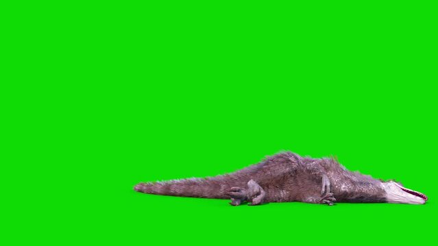Yutyrannus Green Screen Die, Dinosaurs, Jurassic, Plumage 3D Animations Rendering CGI