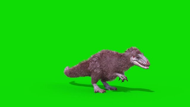 Yutyrannus Green Screen Roar Loop, Dinosaurs, Jurassic, Plumage 3D Animations Rendering CGI