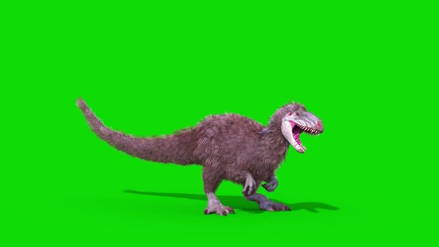 Yutyrannus Green Screen Attacks Loop, Dinosaurs, Jurassic 3D Animations Rendering CGI