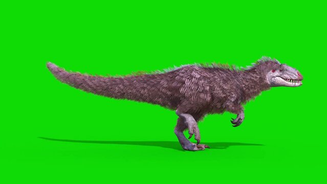 Yutyrannus Green Screen Runcycle Side Loop, Dinosaurs, Jurassic 3D Animations Rendering CGI