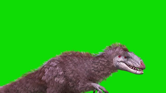 Yutyrannus Green Screen Roar Loop, Side, Dinosaurs, Jurassic, Plumage 3D Animations Rendering CGI