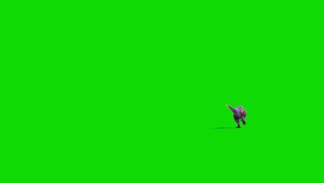Yutyrannus Green Screen Runs Back, Dinosaurs, Jurassic 3D Animations Rendering CGI