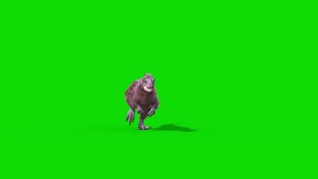 Yutyrannus Green Screen Runs Front, Dinosaurs, Jurassic 3D Animations Rendering CGI
