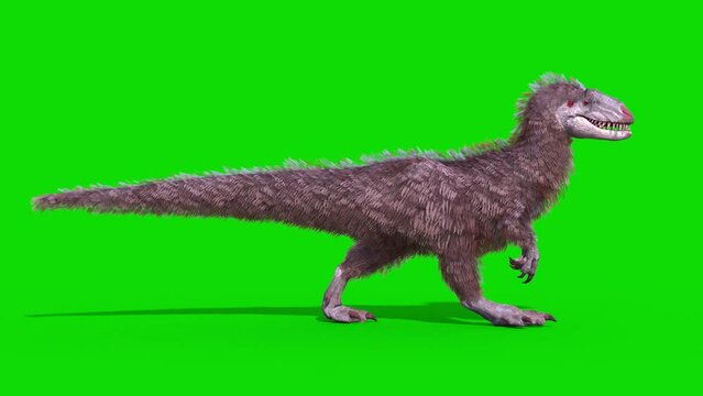 Yutyrannus Green Screen Walkcycle Side Loop, Dinosaurs, Jurassic 3D Animations Rendering CGI