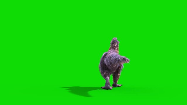 Yutyrannus Green Screen Walks Back, Dinosaurs, Jurassic 3D Animations Rendering CGI
