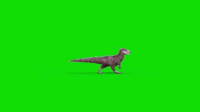 Yutyrannus Green Screen Walks Side, Dinosaurs, Jurassic 3D Animations Rendering CGI