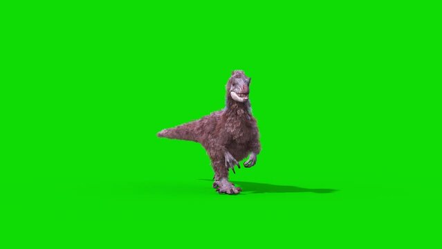 Yutyrannus Green Screen Walks Front, Dinosaurs, Jurassic 3D Animations Rendering CGI