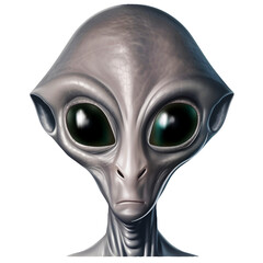 A grey alien with a large head and large eyes isolated on transparent background. Alien head.