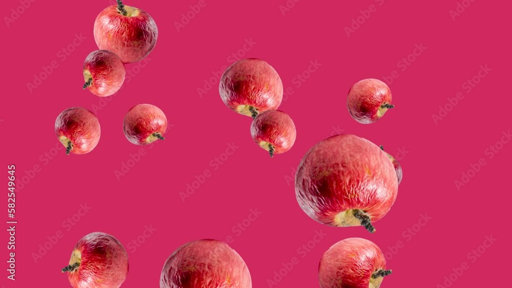 Poster abstract explosion with rotten apples flying in different directions on a magenta background. simple