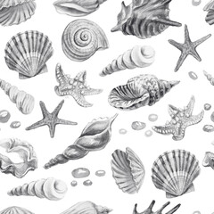 seashells shells marine nature aquatic underwater world wild nature Hand drawn watercolor illustration. Set isolated on white background sketch realistic style