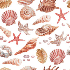 seashells shells marine nature aquatic underwater world wild nature Hand drawn watercolor illustration. Set isolated on white background sketch realistic style
