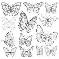 Drawing for coloring many different butterflies close-up, black and white illustration, ai generative