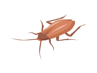 Isometric Cockroach Icon