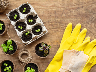Top view on basil seedlings in peat pots on wooden table with copy space. Reuse of egg carton boxes. Yellow rubber gloves with seeds in paper bags. - 582551616