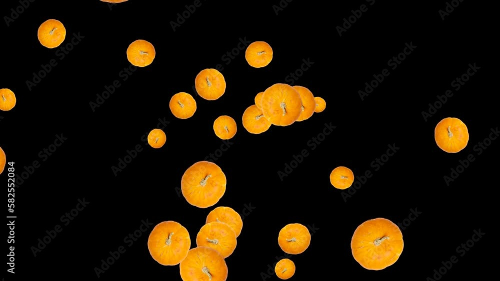 Poster abstract explosion with pumpkins flying in different directions on a black background. simple colorf