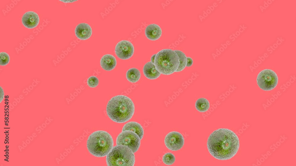 Poster abstract explosion with avocado flying in different directions on a coral background. simple colorfu