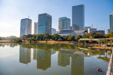 Fototapeta na wymiar Hamarikyu Gardens is a large and attractive landscape garden in Tokyo, Chuo district, Sumida River, Japan. Oriental japanese garden. The Hama Rikyu is in contrast to the skyscrapers of city.