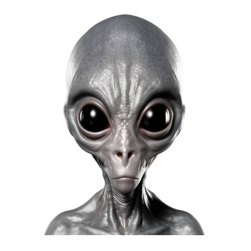 A grey alien with a large head and large eyes isolated on transparent background. Alien head.