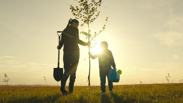 Silhouette child tree sapling woman mother sunset small kid shovel watering can. sprout sun sky light earth family happiness farmer student. field drip water teamwork plant day botanical gardening.
