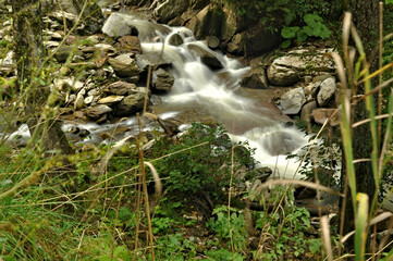 waterfall in the forest