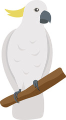 Cute flat cockatoo isolated on transparent background. Vector white parrot. © annagraphics19
