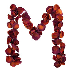 Letter M from dry red rose petals, isolated on transparent background. Nature typography, english alphabet. Design element from rose petals - obrazy, fototapety, plakaty