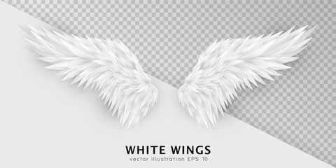 Three dimensional white angel wings. Masquerade, festival, carnival costume. Realistic bird wings isolated on transparent background. Freedom, spiritual concept. Vector illustrator EPS 10