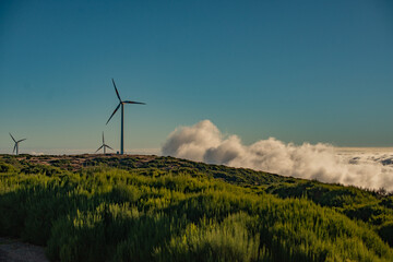 wind turbines farm