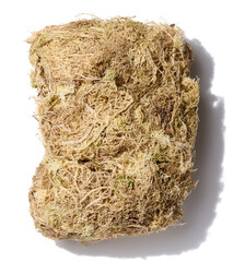 Sphagnum moss for orchids on a white isolated background, top view