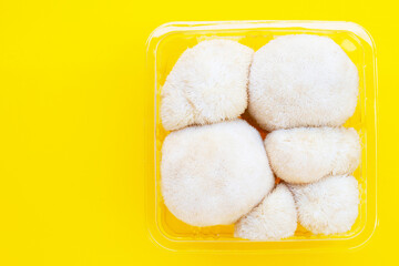 Fresh lion's mane mushroom on yellow background.