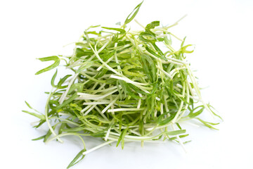 Water spinach sprouts. Organic vegetables