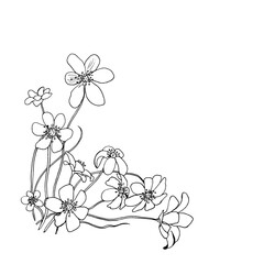 Ornament, a pattern of cute little flowers with long stems. Vector elegant illustration of buttercups for postcards, invitations, business cards.