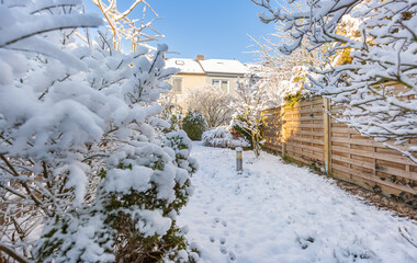 Suburban garden covered with snow