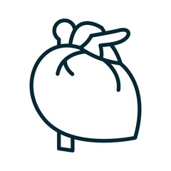 png image icon of a heart on a transparent background